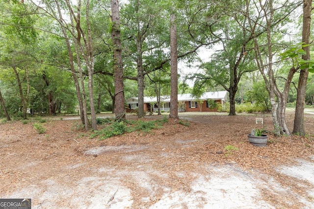 701 Log Landing Rd, Springfield, GA 31329 - view of yard