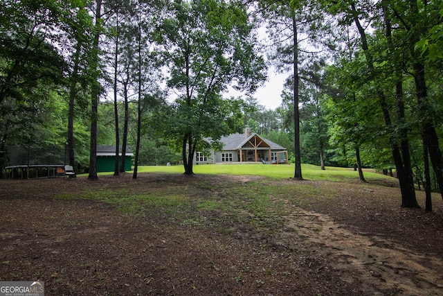 299 Savior Ln, Hamilton, GA 31811 - view of green lawn