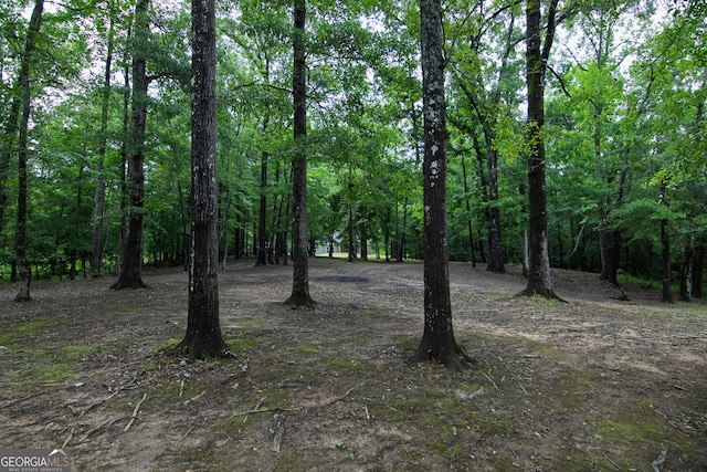 299 Savior Ln, Hamilton, GA 31811 - view of nature