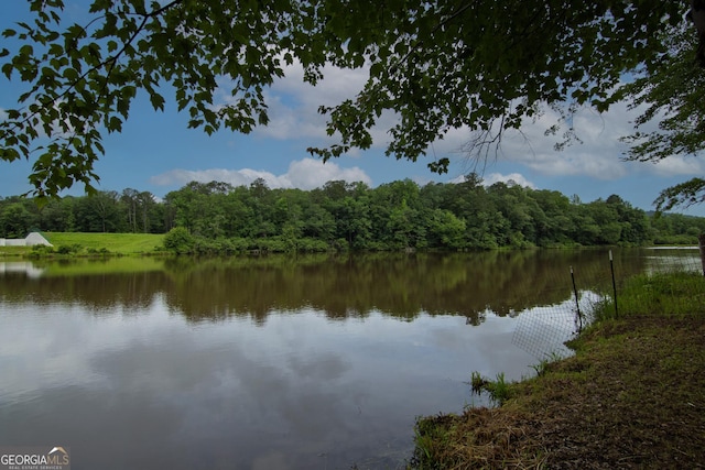 299 Savior Ln, Hamilton, GA 31811 - water view featuring a heavily wooded area