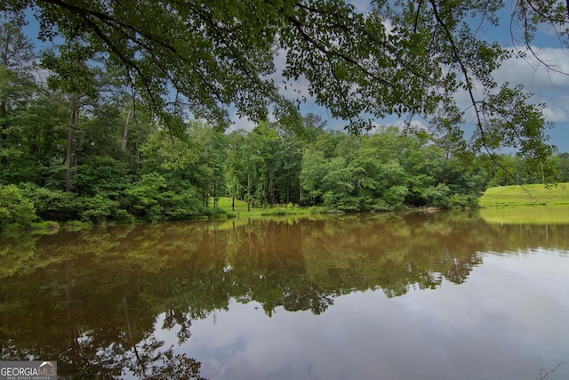 299 Savior Ln, Hamilton, GA 31811 - water view featuring a forest