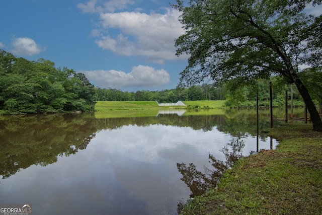 299 Savior Ln, Hamilton, GA 31811 - water view with a heavily wooded area