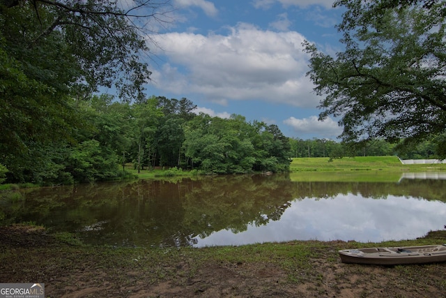 299 Savior Ln, Hamilton, GA 31811 - water view with a heavily wooded area