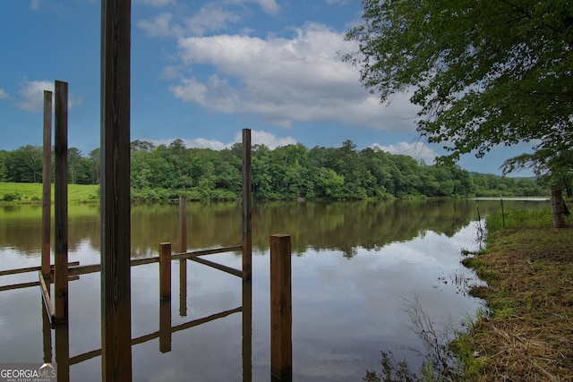 299 Savior Ln, Hamilton, GA 31811 - dock with a water view and a view of trees