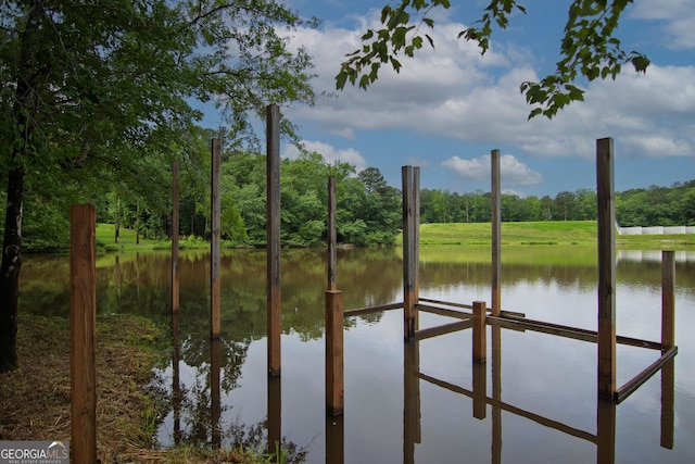 299 Savior Ln, Hamilton, GA 31811 - dock area with a water view