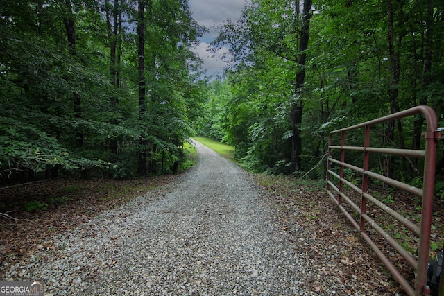 299 Savior Ln, Hamilton, GA 31811 - view of dirt / gravel road with a view of trees and a gated entry