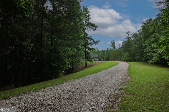 299 Savior Ln, Hamilton, GA 31811 - view of road with a wooded view