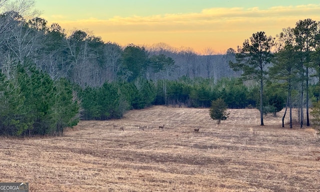 1971 Centennial Rd, Rutledge, GA 30663 - view of mountain background featuring a heavily wooded area