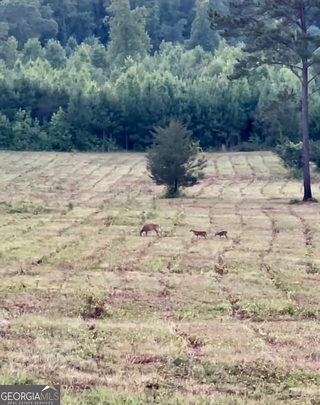 1971 Centennial Rd, Rutledge, GA 30663 - view of yard with a view of trees