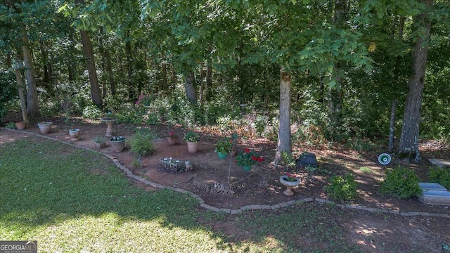 1917 Hearthstone Ct, Winder, GA 30680 - view of yard