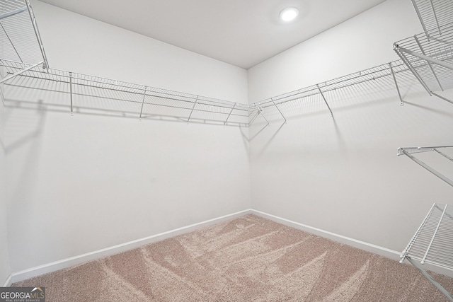 5207 Canberra Dr, Flowery Branch, GA 30542 - spacious closet featuring carpet