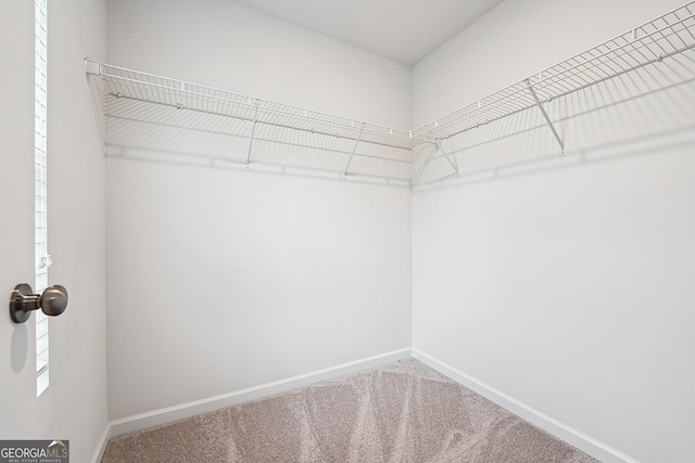 5207 Canberra Dr, Flowery Branch, GA 30542 - walk in closet with carpet flooring