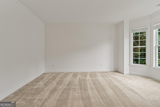 1210 Magnolia Park Cir, Cumming, GA 30040 - spare room featuring light colored carpet, ornamental molding, and healthy amount of natural light