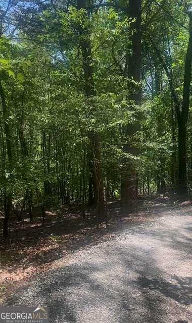 0 Edgewood Dr, Cleveland, GA 30528
