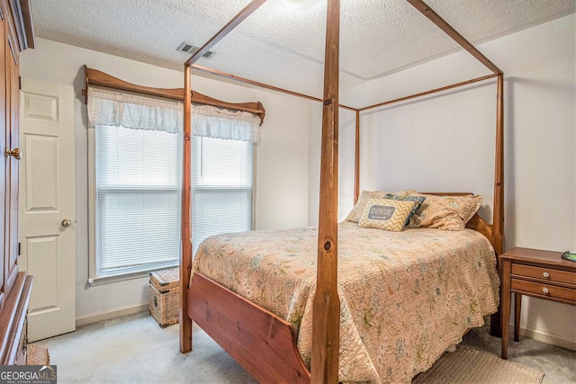 844 Potomac Pl, Winder, GA 30680 - bedroom with light carpet, multiple windows, a textured ceiling, and baseboards