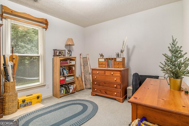 844 Potomac Pl, Winder, GA 30680 - office area featuring light carpet and a textured ceiling