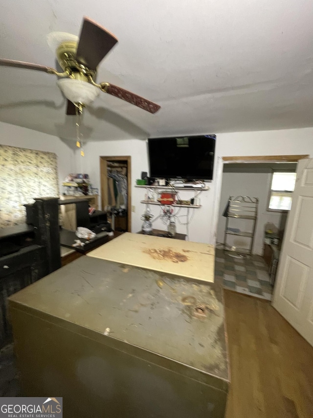 938 Mandeville Rd, Carrollton, GA 30117 - kitchen featuring ceiling fan and wood finished floors