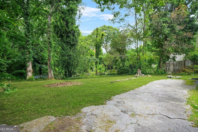 6802 Ida St, Lithonia, GA 30058 - view of yard