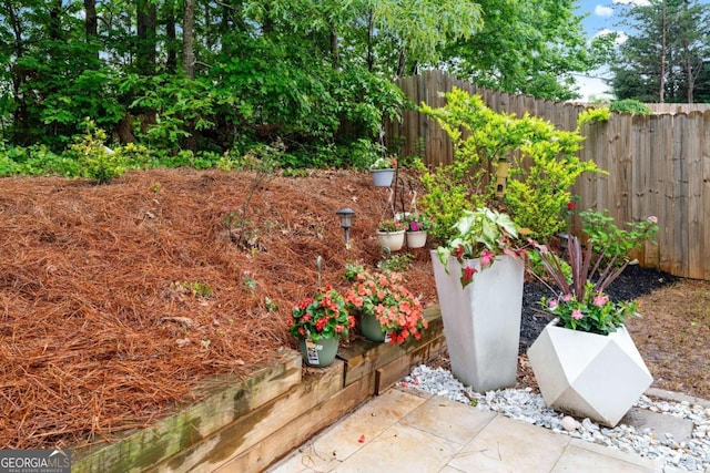 2939 Woodward Down Trl, Buford, GA 30519 - view of yard