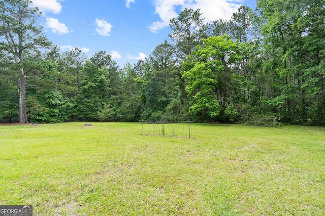 114 Pippin Rd, Hillsboro, GA 31038 - view of grassy yard featuring a wooded view