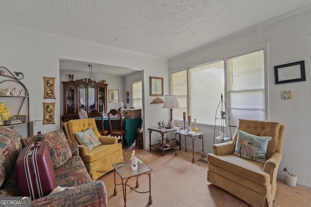114 Pippin Rd, Hillsboro, GA 31038 - living room featuring a textured ceiling and ornamental molding