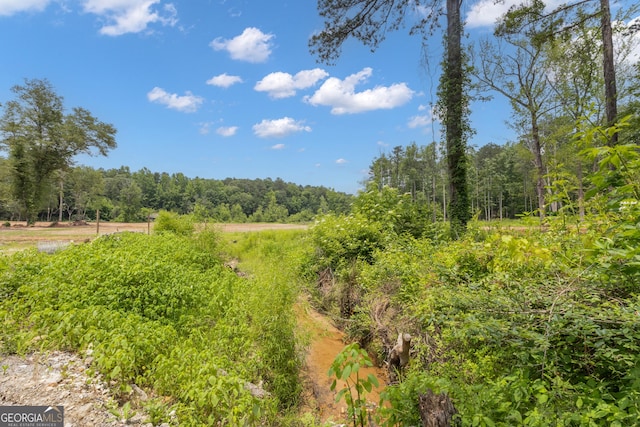 6290 Cascade Palmetto Hwy, Fairburn, GA 30213 - view of yard with a forest view