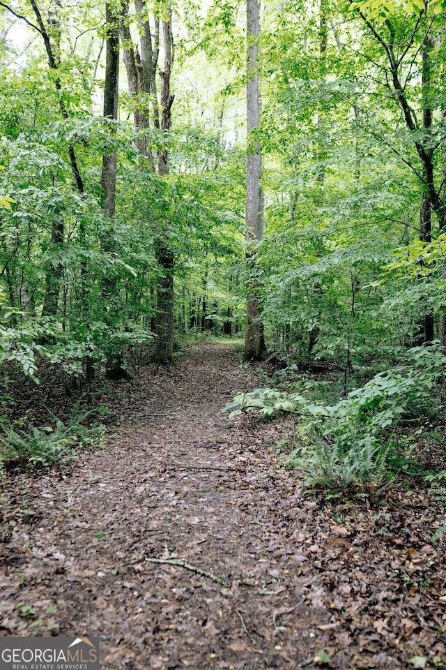 6290 Cascade Palmetto Hwy, Fairburn, GA 30213 - view of woods
