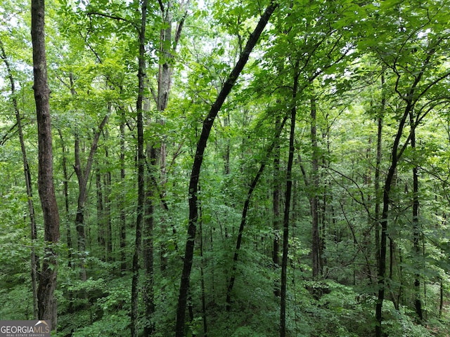6290 Cascade Palmetto Hwy, Fairburn, GA 30213 - view of woods