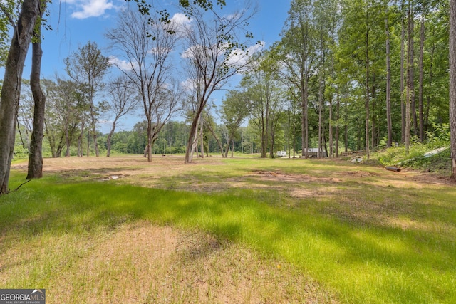 6290 Cascade Palmetto Hwy, Fairburn, GA 30213 - view of yard