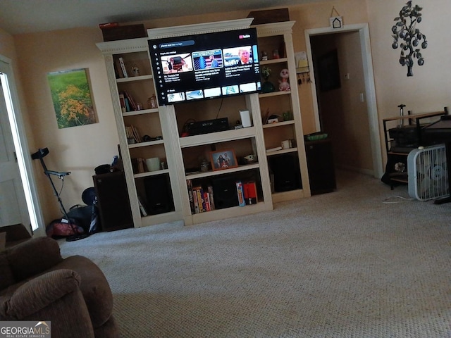 920 Courthouse Rd, Temple, GA 30179 - view of carpeted living room