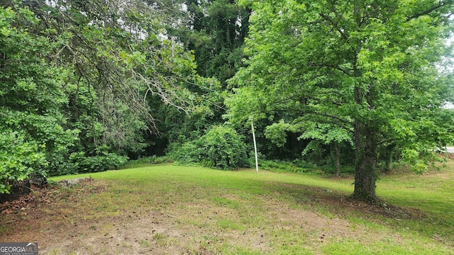 4326 Ga Highway 109, Molena, GA 30258 - view of grassy yard with a forest view