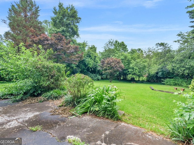 117 Thomas St, Griffin, GA 30224 - view of grassy yard
