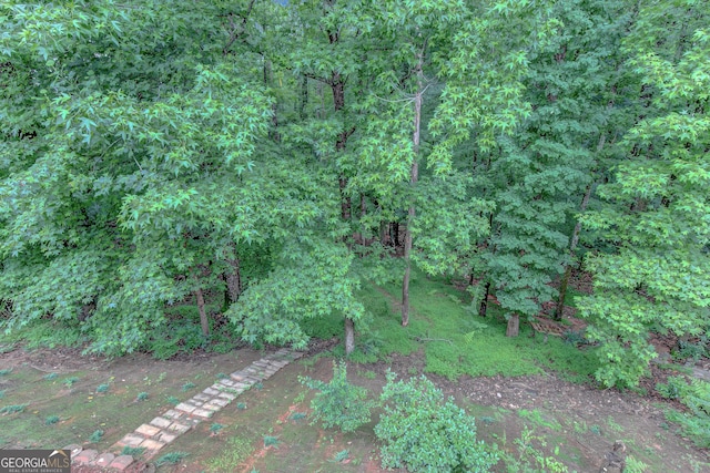 165 Hidden Lake Dr, Fayetteville, GA 30215 - view of nature