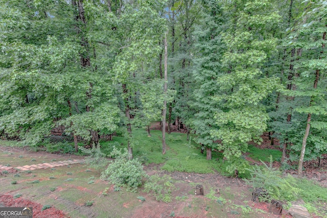 165 Hidden Lake Dr, Fayetteville, GA 30215 - view of yard
