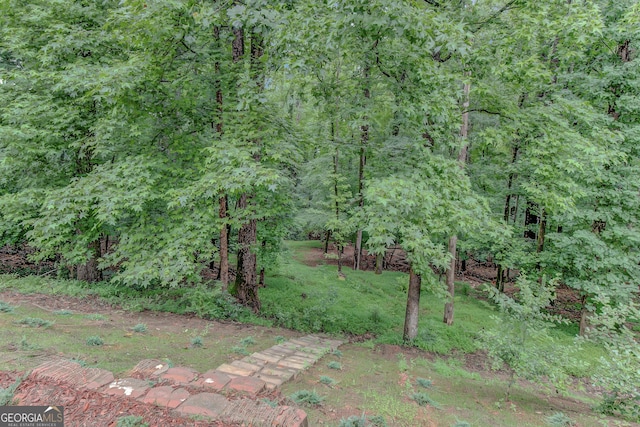 165 Hidden Lake Dr, Fayetteville, GA 30215 - view of yard
