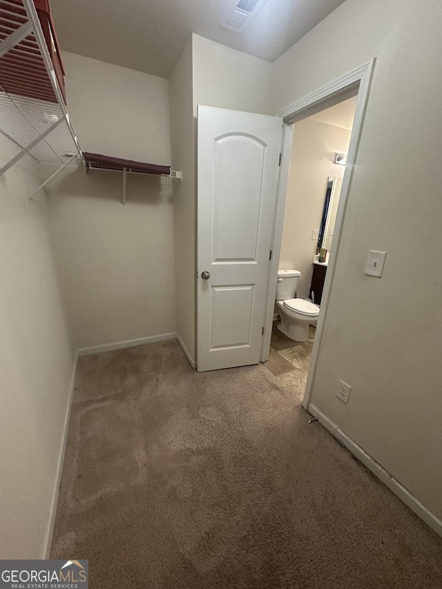 287 Ella Ct, Columbus, GA 31907 - walk in closet with light colored carpet