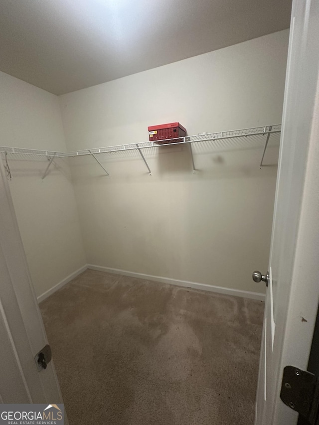 287 Ella Ct, Columbus, GA 31907 - spacious closet featuring carpet
