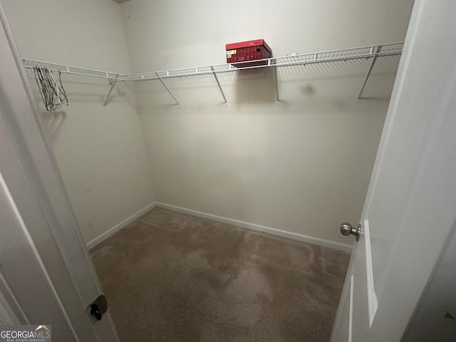 287 Ella Ct, Columbus, GA 31907 - walk in closet with carpet flooring