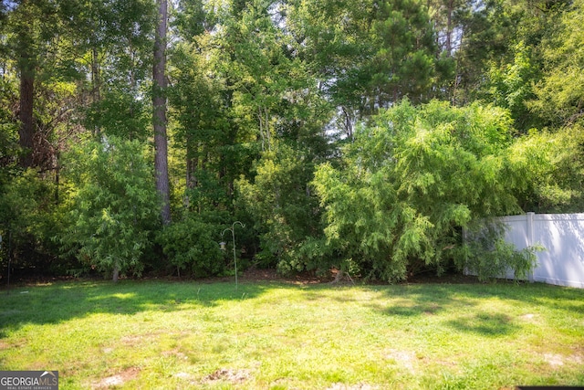 104 Johansen Way, Kingsland, GA 31548 - view of yard