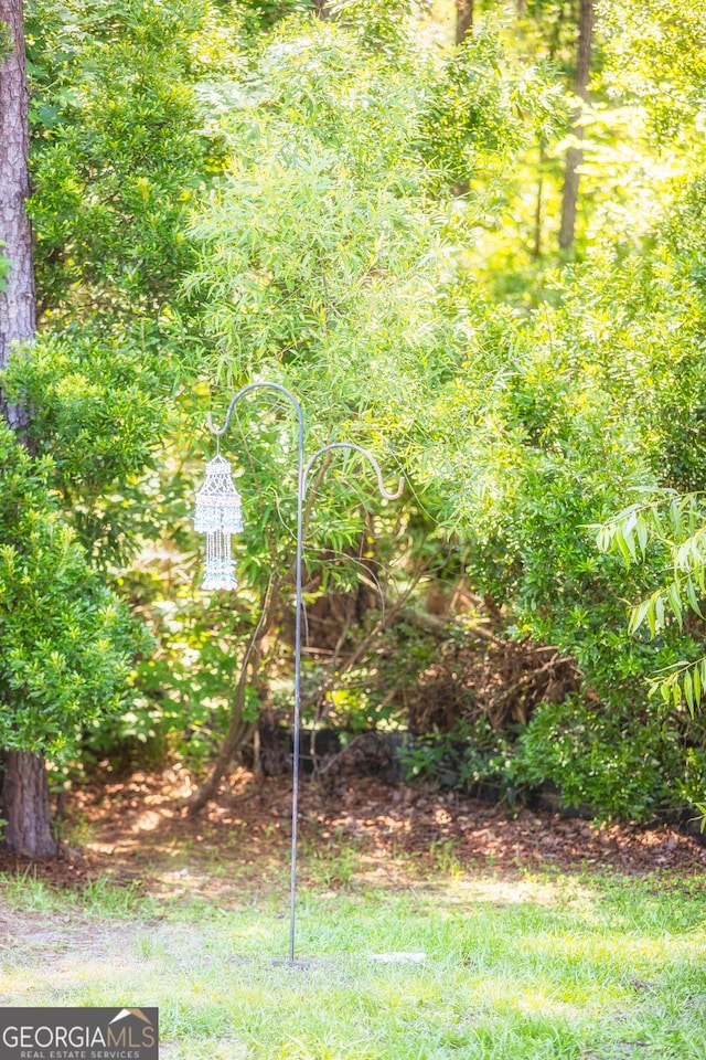 104 Johansen Way, Kingsland, GA 31548 - view of yard