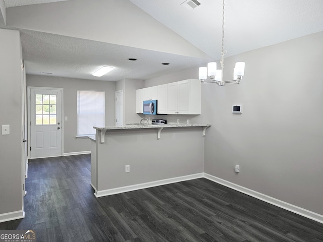 3075 Lakeside Cir, Covington, GA 30016 - kitchen with stainless steel microwave, dark wood-style flooring, baseboards, and vaulted ceiling