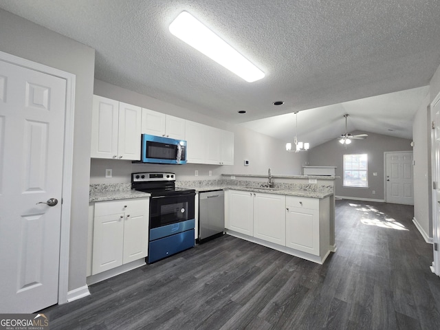 3075 Lakeside Cir, Covington, GA 30016 - kitchen featuring stainless steel appliances, a peninsula, a sink, dark wood-style floors, and lofted ceiling