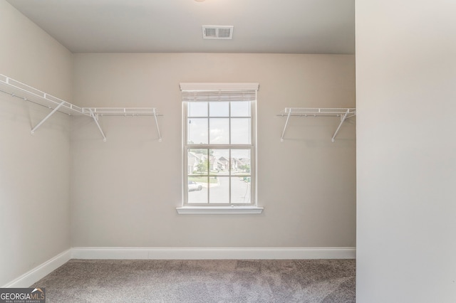 31 Blarneystone Way, Adairsville, GA 30103 - spacious closet with carpet flooring