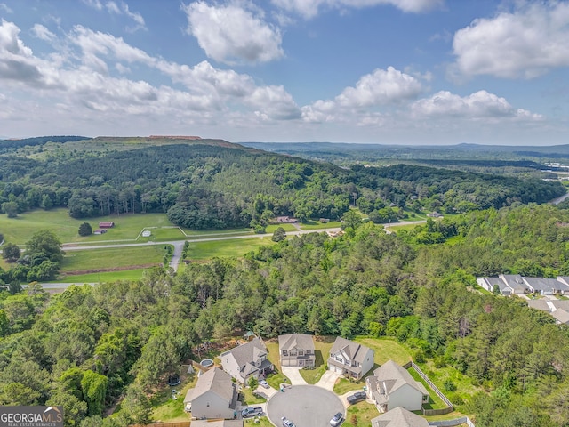 31 Blarneystone Way, Adairsville, GA 30103 - aerial view of property's location with a forest and nearby suburban area
