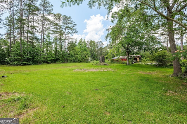 1055 Wrens Hwy, Thomson, GA 30824 - view of grassy yard