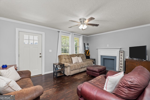 1055 Wrens Hwy, Thomson, GA 30824 - living room with wood finished floors, a ceiling fan, ornamental molding, a textured ceiling, and baseboards