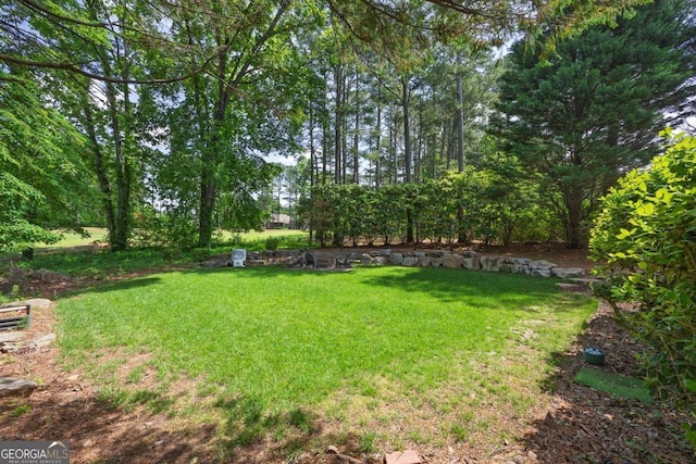 320 Ironhill Trce, Woodstock, GA 30189 - view of green lawn