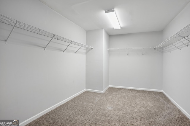 2840 Brookford Ln SW, South Fulton, GA 30331 - walk in closet with carpet