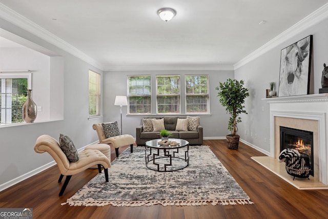 2840 Brookford Ln SW, South Fulton, GA 30331 - living room with ornamental molding, baseboards, dark wood finished floors, and a lit fireplace