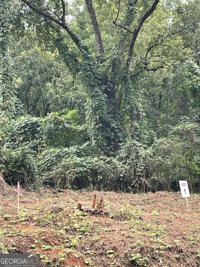 310 Hightower Trl, Oxford, GA 30054